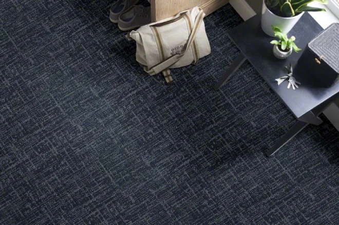 Reduces Echo and Noise